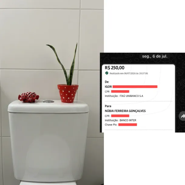 Captura del mensaje de Nubia Ferreira junto a la foto del baño con la maceta